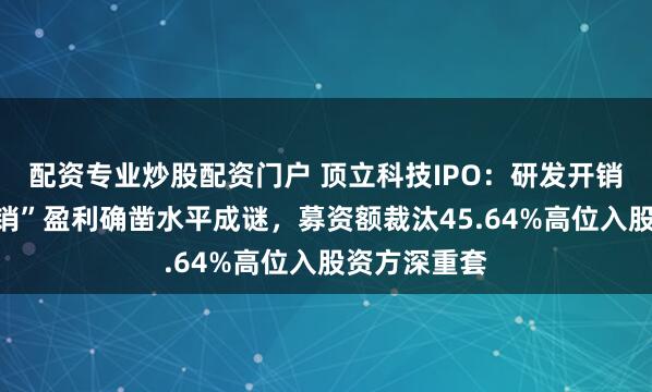 配资专业炒股配资门户 顶立科技IPO：研发开销遭“时期摊销”盈利确凿水平成谜，募资额裁汰45.64%高位入股资方深重套