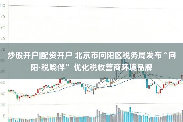 炒股开户|配资开户 北京市向阳区税务局发布“向阳·税晓伴” 优化税收营商环境品牌