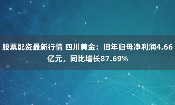 股票配资最新行情 四川黄金：旧年归母净利润4.66亿元，同比增长87.69%