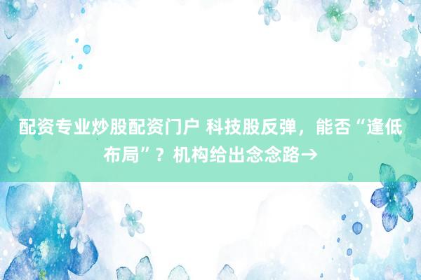 配资专业炒股配资门户 科技股反弹，能否“逢低布局”？机构给出念念路→
